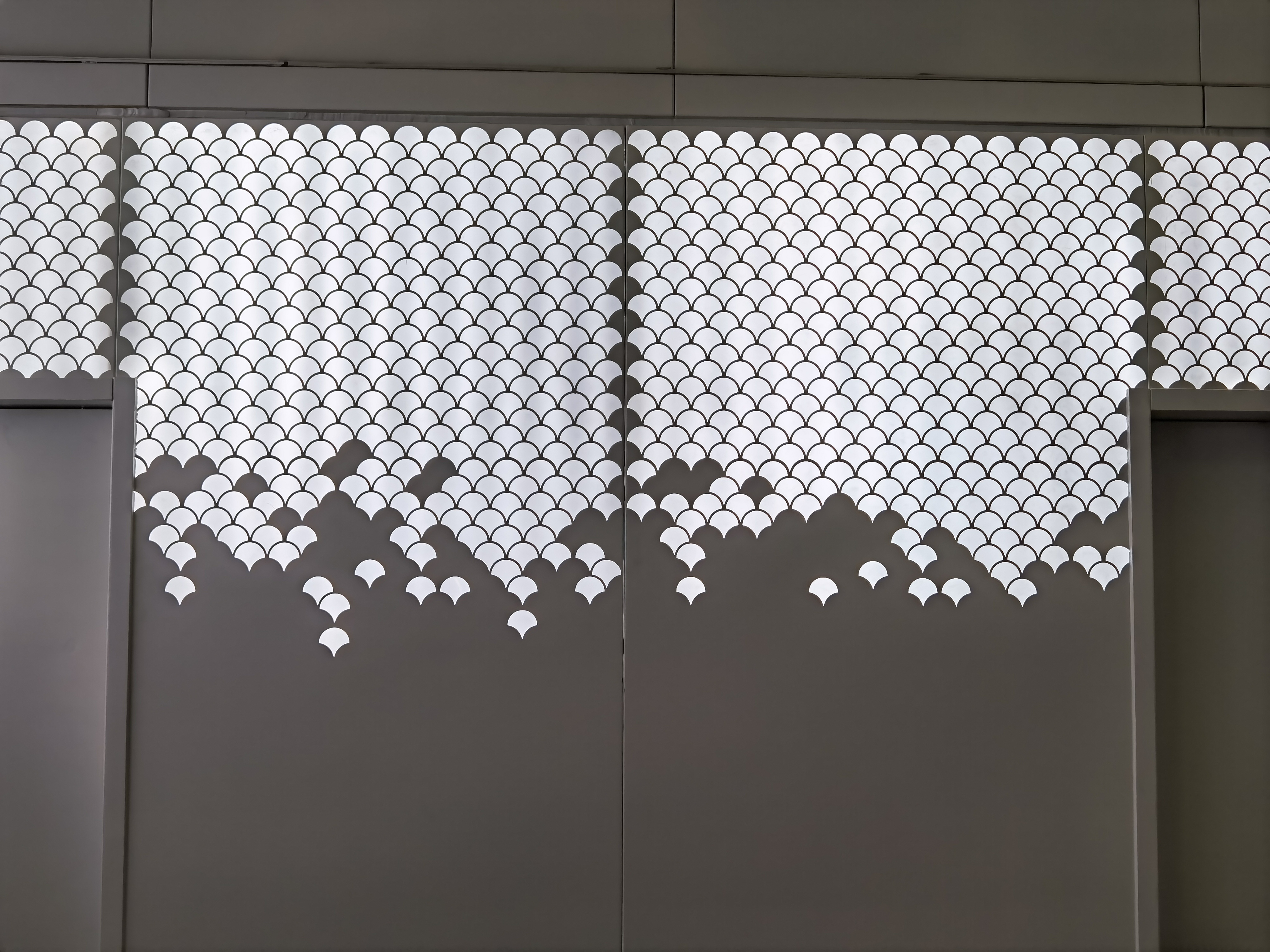 1648107516745687.jpg